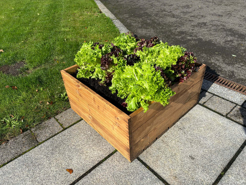 Charles Taylor HB314 - Country Kitchen Large Raised Bed