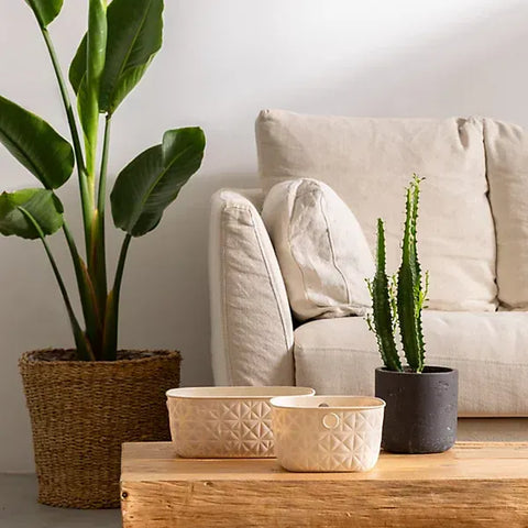 Curver Storage Basket Curver Softex Basket Chalk White XS