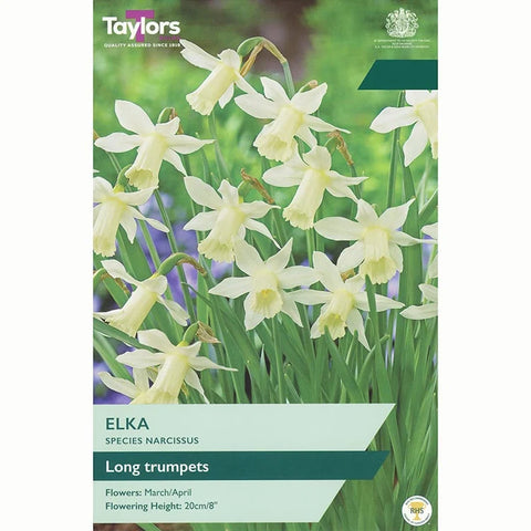 Taylors Bulbs Elka Narcissus Bulbs – 8pck