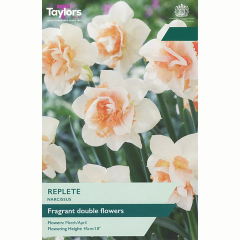 Taylors Bulbs Replete Narcissus Bulbs – 5pck