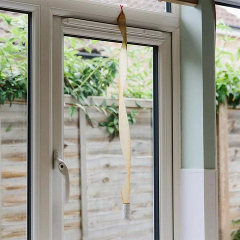 Deadfast Fly & Wasp Control Deadfast Fly Catcher Ribbons