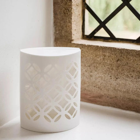 Deadfast Fly & Wasp Control Deadfast Indoor Fly Pod