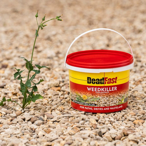 Deadfast Weed Control Deadfast Weedkiller Concentrate Tub 12 x 100ml