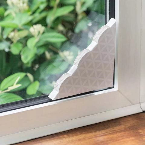 Deadfast Fly & Wasp Control Deadfast window fly trap