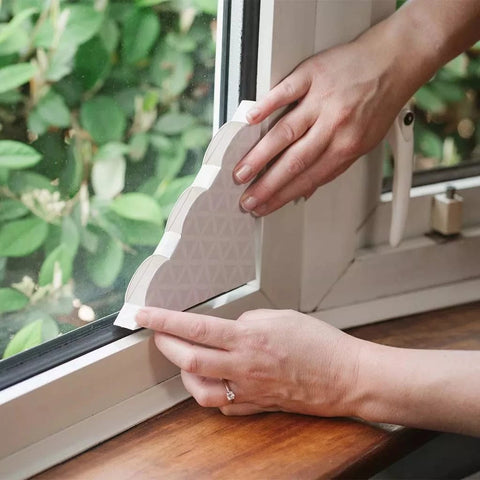 Deadfast Fly & Wasp Control Deadfast window fly trap