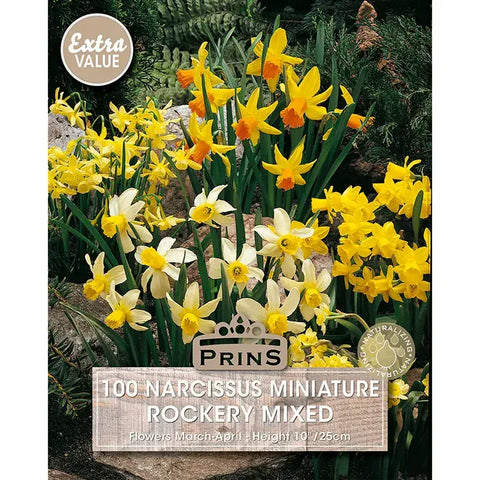 Prins Charming Rockery Mix Narcissus Bulbs – 100pck