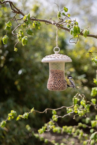 Fallen Fruits Bird Food Fallen Fruits Bird Feeder Parasol Mushroom