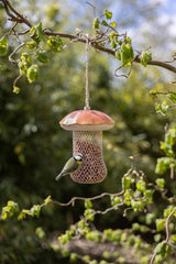 Fallen Fruits Bird Food Fallen Fruits Bird Feeder Porcini