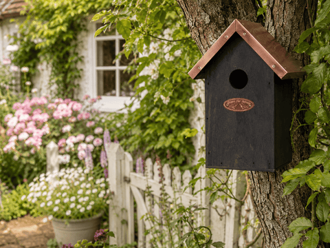 Fallen Fruits Bird House Fallen Fruits Black Copper Bird House - Winter Wren