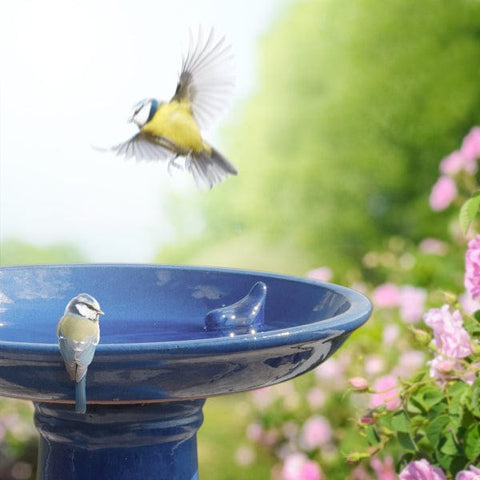 Fallen Fruits Bird Feeders Fallen Fruits Ceramic Bird Bath On Pedestal - Blue