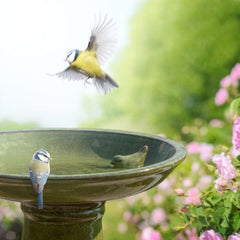 Fallen Fruits Bird Feeders Fallen Fruits Ceramic Bird Bath On Pedestal - Green
