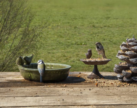 Fallen Fruits Bird Baths Fallen Fruits Ceramic Bird Bath Oval - Assorted Colours