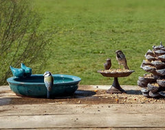 Fallen Fruits Bird Baths Fallen Fruits Ceramic Bird Bath Round Blue