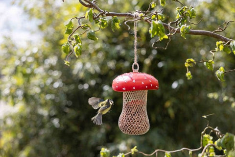 Fallen Fruits Bird Food Fallen Fruits Fly Agaric Bird Feeder