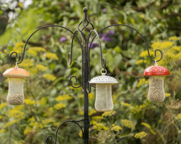 Fallen Fruits Bird Food Fallen Fruits Fly Agaric Bird Feeder