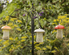 Fallen Fruits Bird Food Fallen Fruits Fly Agaric Bird Feeder