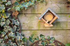 Fallen Fruits Bird Food Fallen Fruits Peanut Butter Feeder Hanging and Standing
