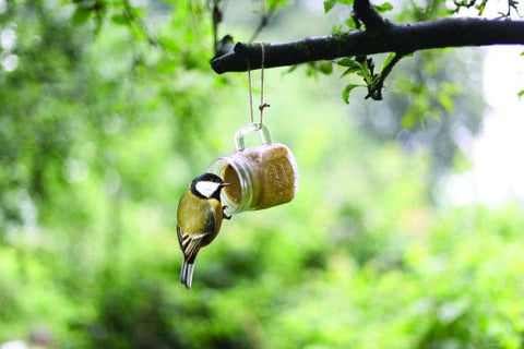 Fallen Fruits Bird Feeders Fallen Fruits Peanut Butter Mug Assorted