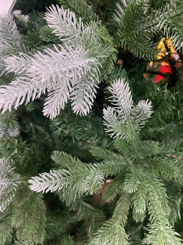 Festive Belvedere Frosted Pine Christmas Tree - 6ft/180cm