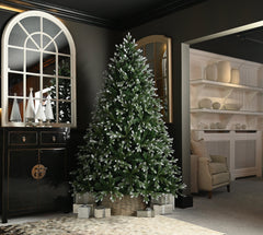 Festive Belvedere Frosted Pine Christmas Tree - 8ft/240cm