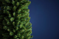 Festive Pre Lit Tree Festive - Glenmore Pine Slim Green - 168cm Christmas Tree