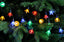 Festive String Lights Christmas Festive Multi Colour Flower Lights 20L