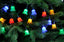 Festive String Lights Christmas Festive Multi Colour Petal Lights 20L
