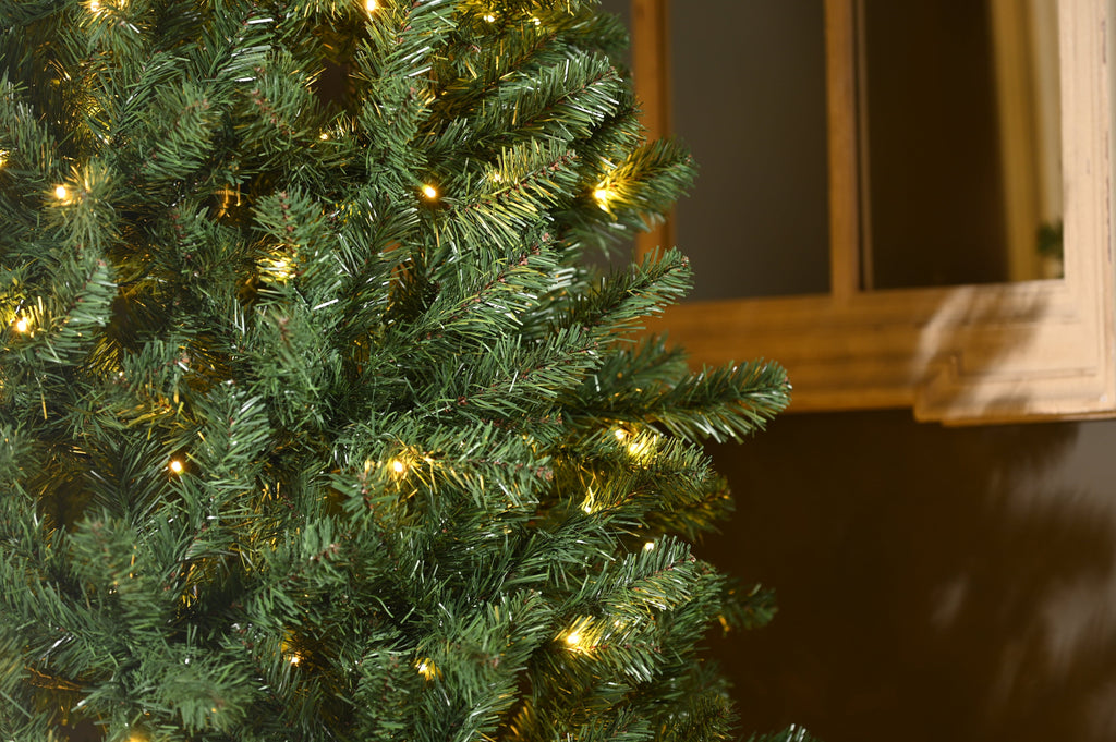 Festive Artificial Trees Pre Lit Festive - Pre Lit Edisto Noble - 6ft/180cm Christmas Tree