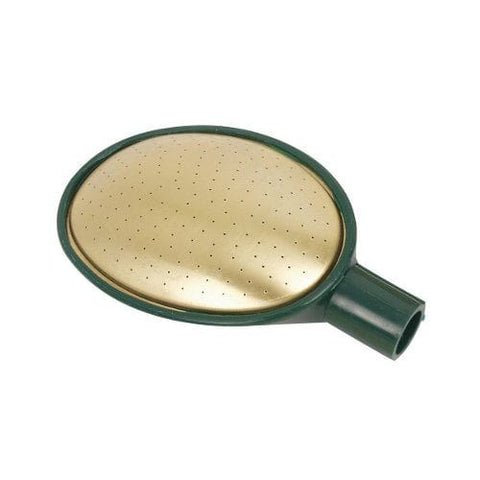 Fine as Rain Watering Can Roses Fine As Rain Small Oval Rose No.4