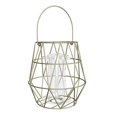 Gardman Bird Feeders Gardman Aura Small Bird Feeder