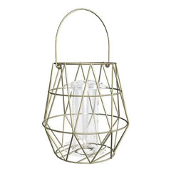 Gardman Bird Feeders Gardman Aura Small Bird Feeder