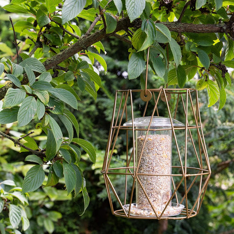 Gardman Bird Feeders Gardman Aura Small Bird Feeder