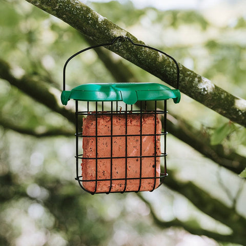 Gardman Berry Suet Feast