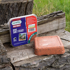 Gardman Suet Feast 10 Pack