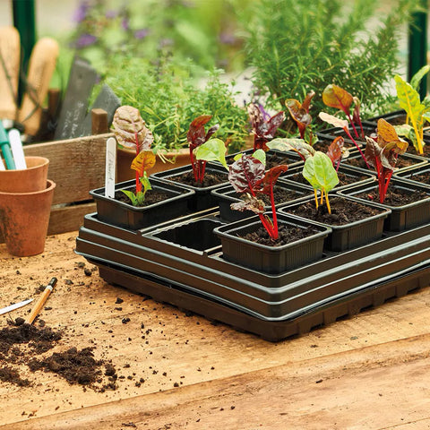 Gardman Growing Trays Gro sure Growing Tray with 18 Square Pots