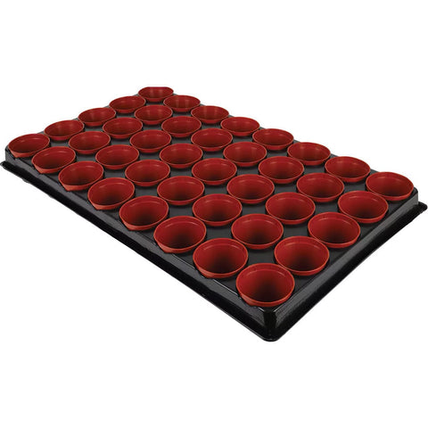 Gardman Seed Trays Gro sure Seed and Cutting Tray with 40 Pots