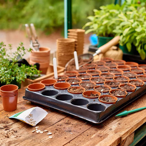 Gardman Seed Trays Gro sure Seed and Cutting Tray with 40 Pots