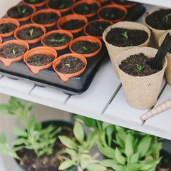 Gardman Seed Trays Gro sure Seed and Cutting Tray with 40 Pots