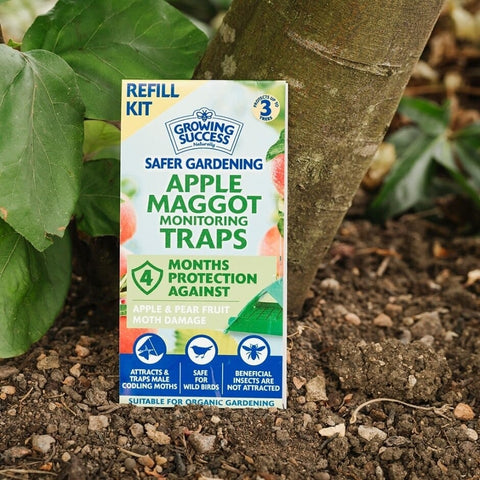 Growing Success Tree Care Growing Success Apple Maggot Monitoring Trap Refill