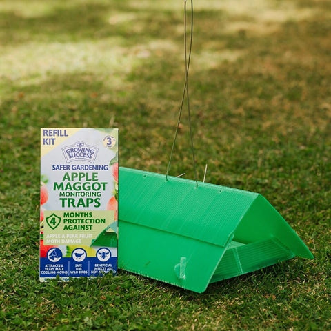 Growing Success Tree Care Growing Success Apple Maggot Monitoring Trap Refill
