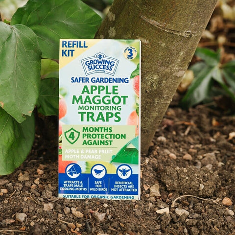 Growing Success Tree Care Growing Success Apple Maggot Monitoring Trap Refill