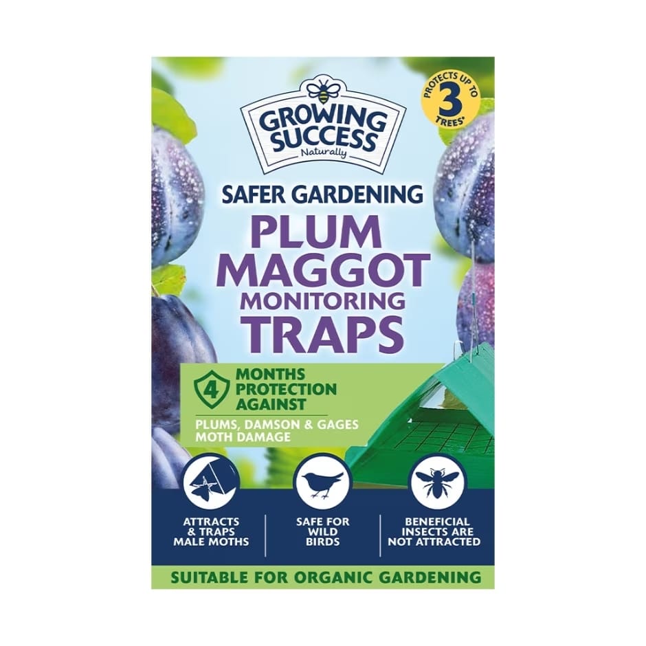 Growing Success Tree Care Growing Success Plum Maggot Monitoring Trap Up To 3 Trees