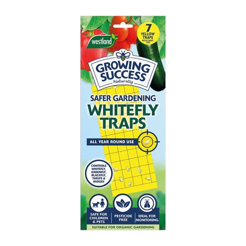 Growing Success Insect Control Growing Success Whitefly Traps 7 x Traps