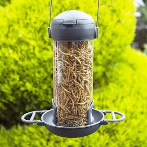 Henry Bell Essentials Suet Bites & Mealworm Feeder
