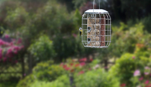Henry Bell Bird Feeders Henry Bell Sterling 3-in-1 Squirrel Proof Feeder