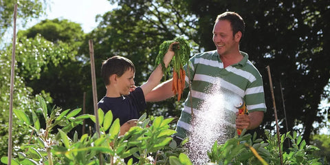 Hozelock Spray Guns Hozelock Spray Gun Multi Spray Plus