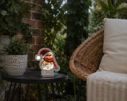 Festive Infinity Lighting Infinity Festive Robin LED Light – 20cm