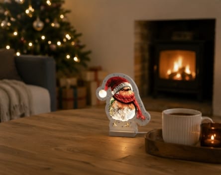 Festive Infinity Lighting Infinity Festive Robin LED Light – 20cm