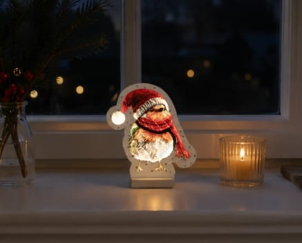 Festive Infinity Lighting Infinity Festive Robin LED Light – 20cm