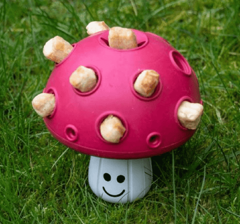 Zoon Dog Toys INFO Zoon Treat Shroom Dog Toy